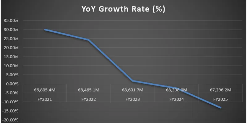 Financial Performance (FY2025 VS FY2024)